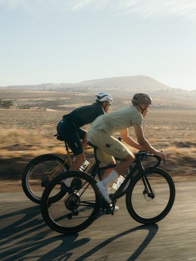 giant gold coast bicycle Roam Disc 2 Integrated rack mounts Compatible with rear racks Giant Bicycles - Just Ride