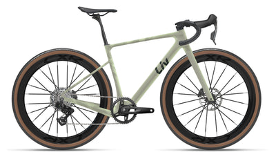 giant gold coast bicycle Roam Disc 2 With its flat handlebar Giant LIV and Momentum Bikes