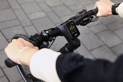 giant e bike fahrradcomputer Giant E-Bike Ridedash Evo My21 Model